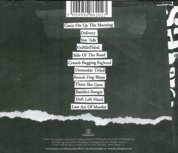 Babyshambles-1