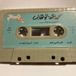 Mohamed Abdel Wahab-1