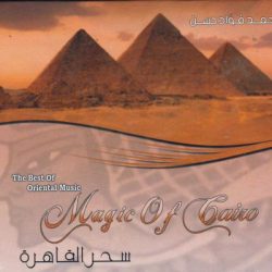 أحمد فؤاد حسن-0