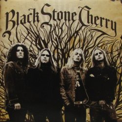 Black Stone Cherry-0