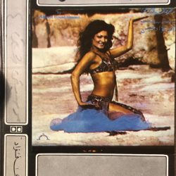 أحمد فؤاد حسن = أحمد فؤاد حسن-0