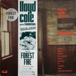 Lloyd Cole & The Commotions-1