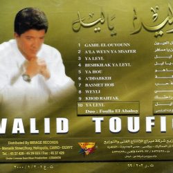 وليد توفيق-1