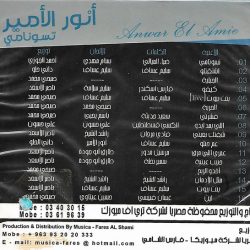 أنور الأمير = أنور الأمير-1