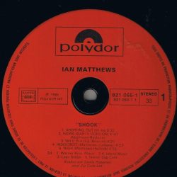 Iain Matthews-1
