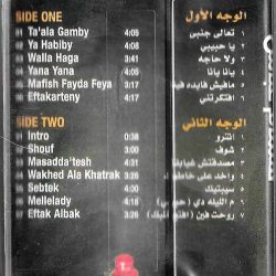 هشام عباس = هشام عباس-1