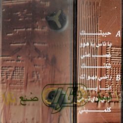 بشار درويش-1