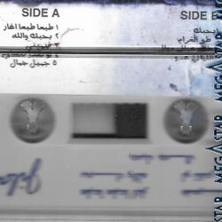 الشاب جيلاني-1