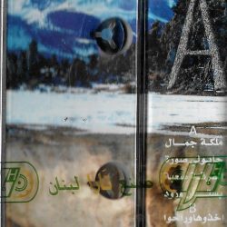 Amir Yazbeck = Amir Yazbeck-1