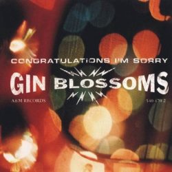 Gin Blossoms-0