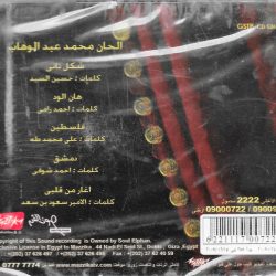 Mohamed Abdel Wahab-1