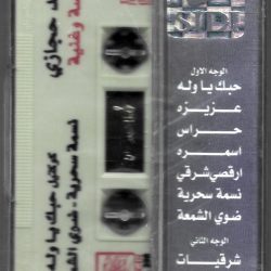 مايك حجازي-1