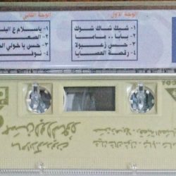 حسن أبو السعود-1