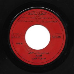 زين شعيب و أنيس الفغالي-0