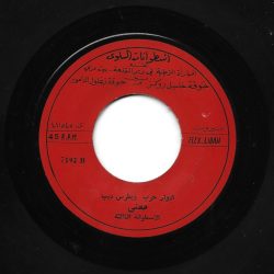 ادوار حرب و بطرس ديب-1