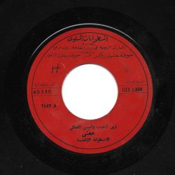 زين شعيب و أنيس الفغالي-0