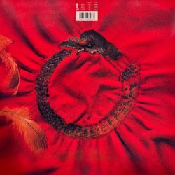 The Alan Parsons Project-1