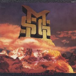 McAuley Schenker Group-1