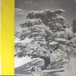 جوقة مدرسة راهبات القلبين الأقدسين-1