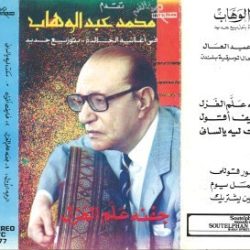 Mohamed Abdel Wahab-1