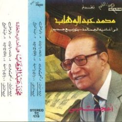 Mohamed Abdel Wahab-0