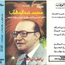 Mohamed Abdel Wahab-1