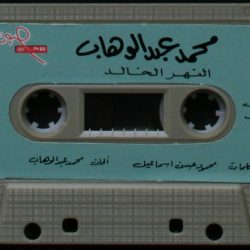 Mohamed Abdel Wahab-1