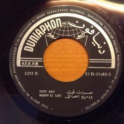 Wadih El Safi-1