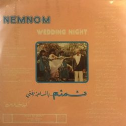 نمنم = نمنم-1