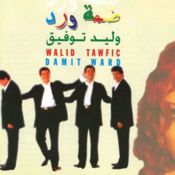 وليد توفيق = وليد توفيق-0