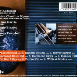 Ray Anderson Lapis Lazuli Band-1