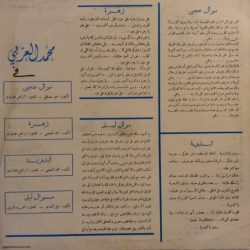 محمد العزبي-1