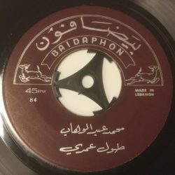 Mohamed Abdel Wahab-1