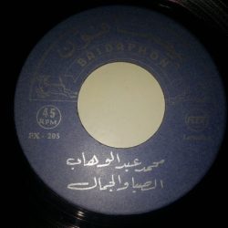 Mohamed Abdel Wahab-0