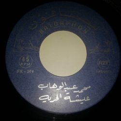 Mohamed Abdel Wahab-1