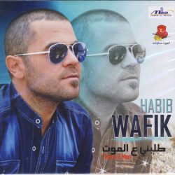 وفيق حبيب-0
