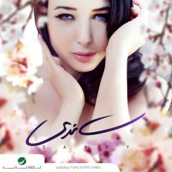 ساندي-0