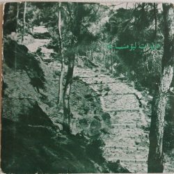 منصور لبكي-0