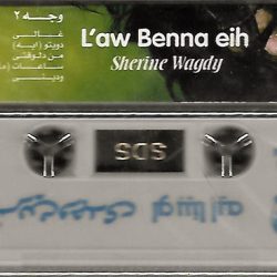 شرين وجدي*-1
