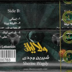شيرين وجدي-1