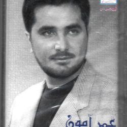 عمر أمون-0