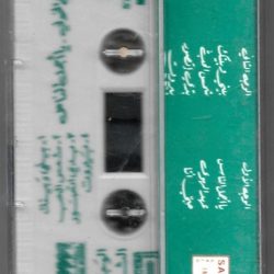 ربيع الخولي-1