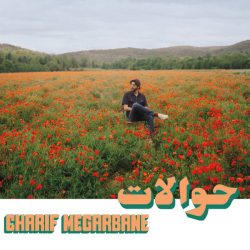 Charif Megarbane-0