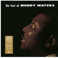 Muddy Waters-0