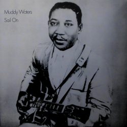 Muddy Waters-1